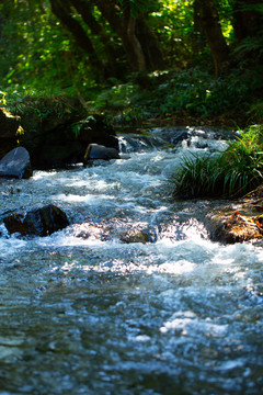 河流与自然
