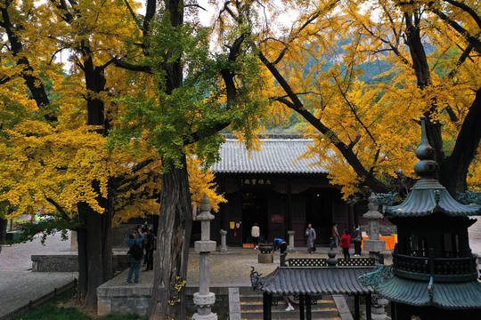 济南灵岩寺金秋