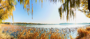 颐和园湖面全景