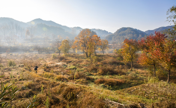 湖北罗田徐凤村红叶