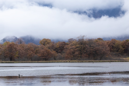 大九湖景区