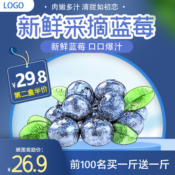 蓝莓水果食品零食食品蓝色主图
