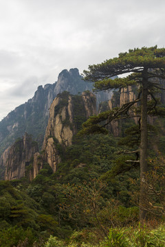 三清山奇峰怪石28