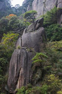 三清山奇峰怪石42