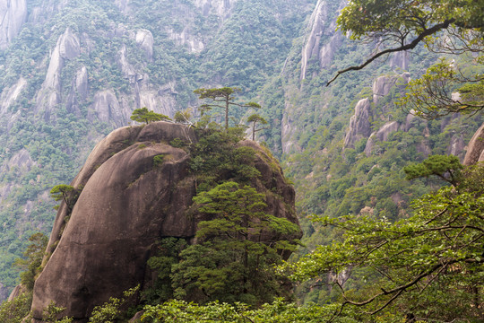 三清山奇峰怪石45