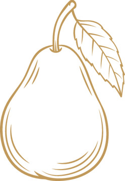 鴨梨矢量線描