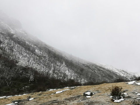 冬天雪景