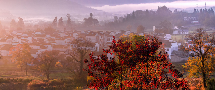 秋天山村的早晨全景大图