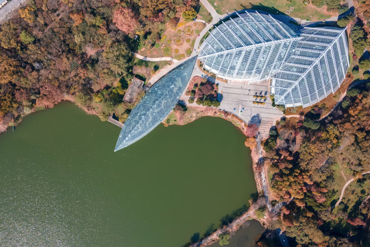 航拍中山陵植物园