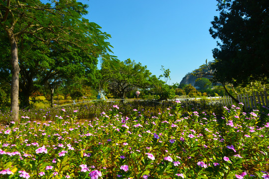蒲州花园景色