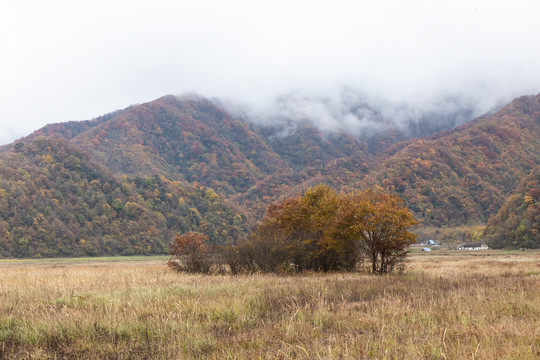 大九湖景区