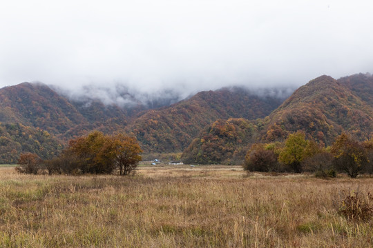 大九湖景区