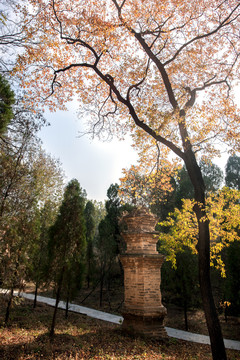 风穴寺