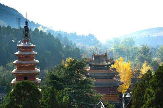 风穴寺