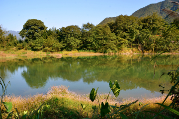 乡村河畔风景