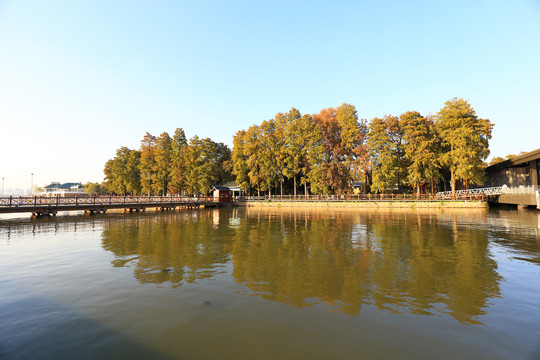 东湖帆船基地