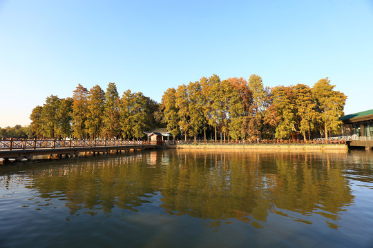 东湖帆船基地