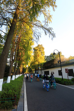 东湖帆船基地