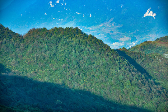 山野树林