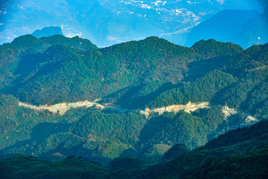 山野树林