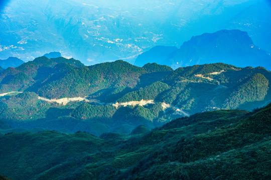 山野树林