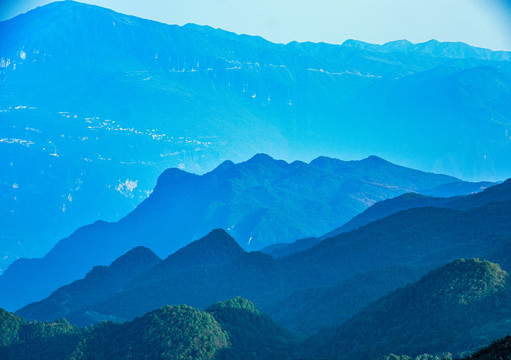 山野树林