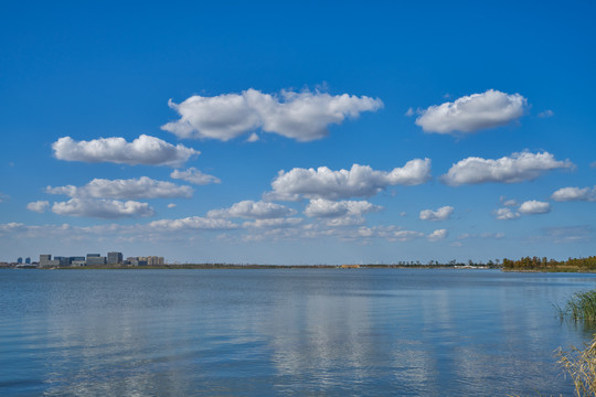 上海滴水湖高清