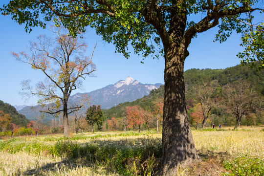 罗田笔架山