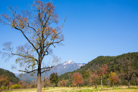 罗田笔架山