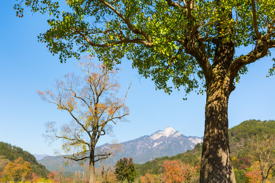 罗田笔架山