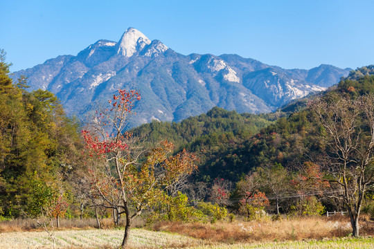 罗田圣人堂村