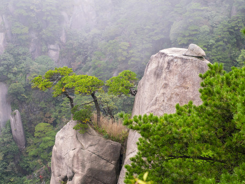 上饶三清山国家级旅游风景区