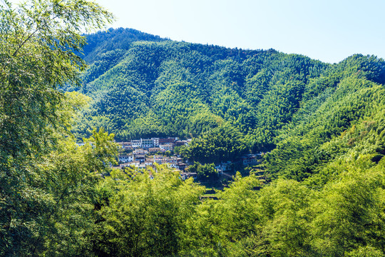 安徽黟县木坑竹海景区