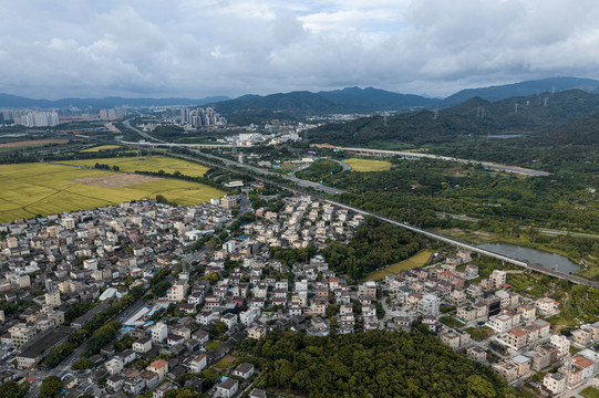 中山市南朗镇村落与稻田