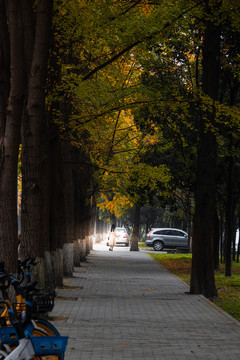 四川大学