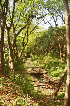 干涸河道