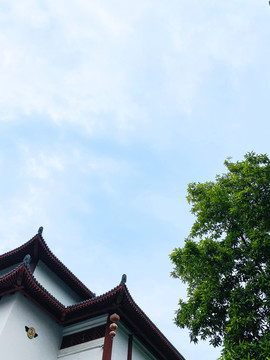 文博宫建筑风景