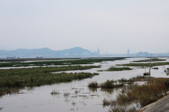 乌龙江湿地