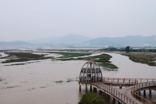 乌龙江湿地