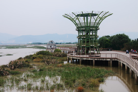 乌龙江湿地