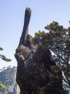 上饶三清山国家级旅游风景区