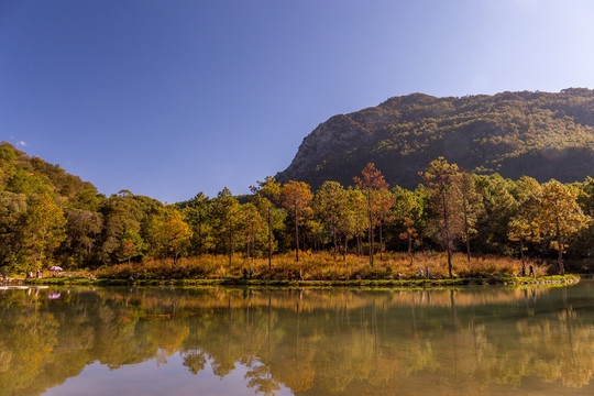 丽江拉市海茶马古道湖泊风景