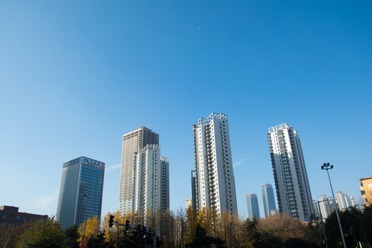 城市高层建筑群