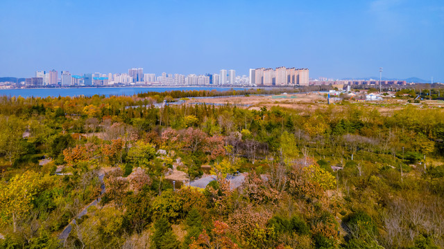 航拍秋天的青岛城市公园