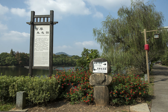 兰溪诸葛八卦村百草植物园