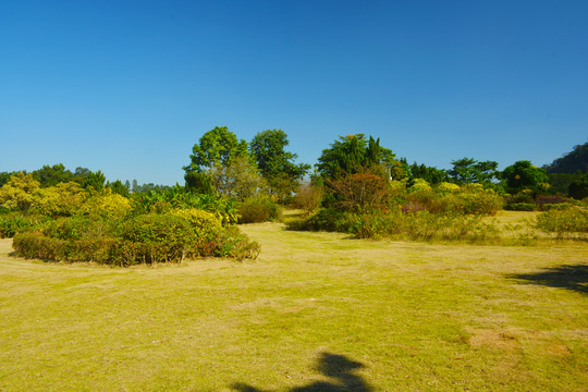 蒲州花园风景