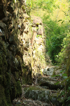 山里的石阶道