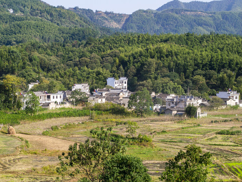 黟县塔川景区