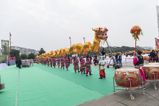 羌历新年舞龙