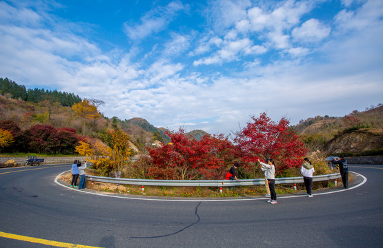 最美公路